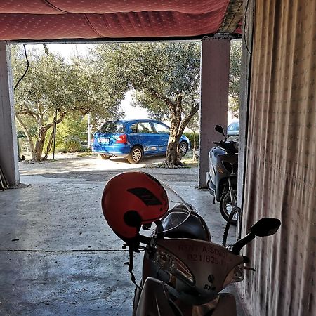 Apartmani Ivica Krzanic Podgora Dış mekan fotoğraf